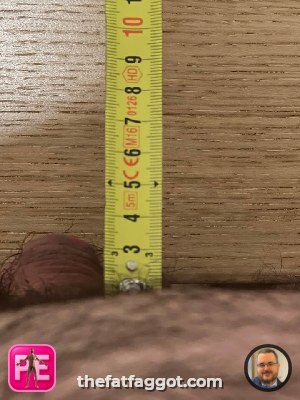 All — The Fat Faggot
