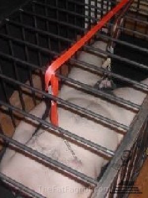 bondage